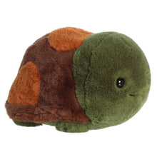 Tony Turtle