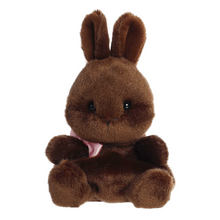 Richie Chocolate Bunny