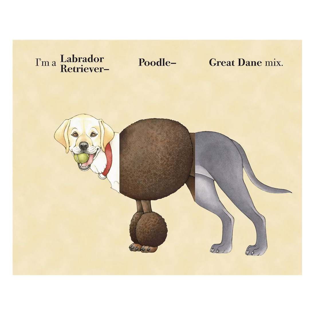 Mix-A-Mutt