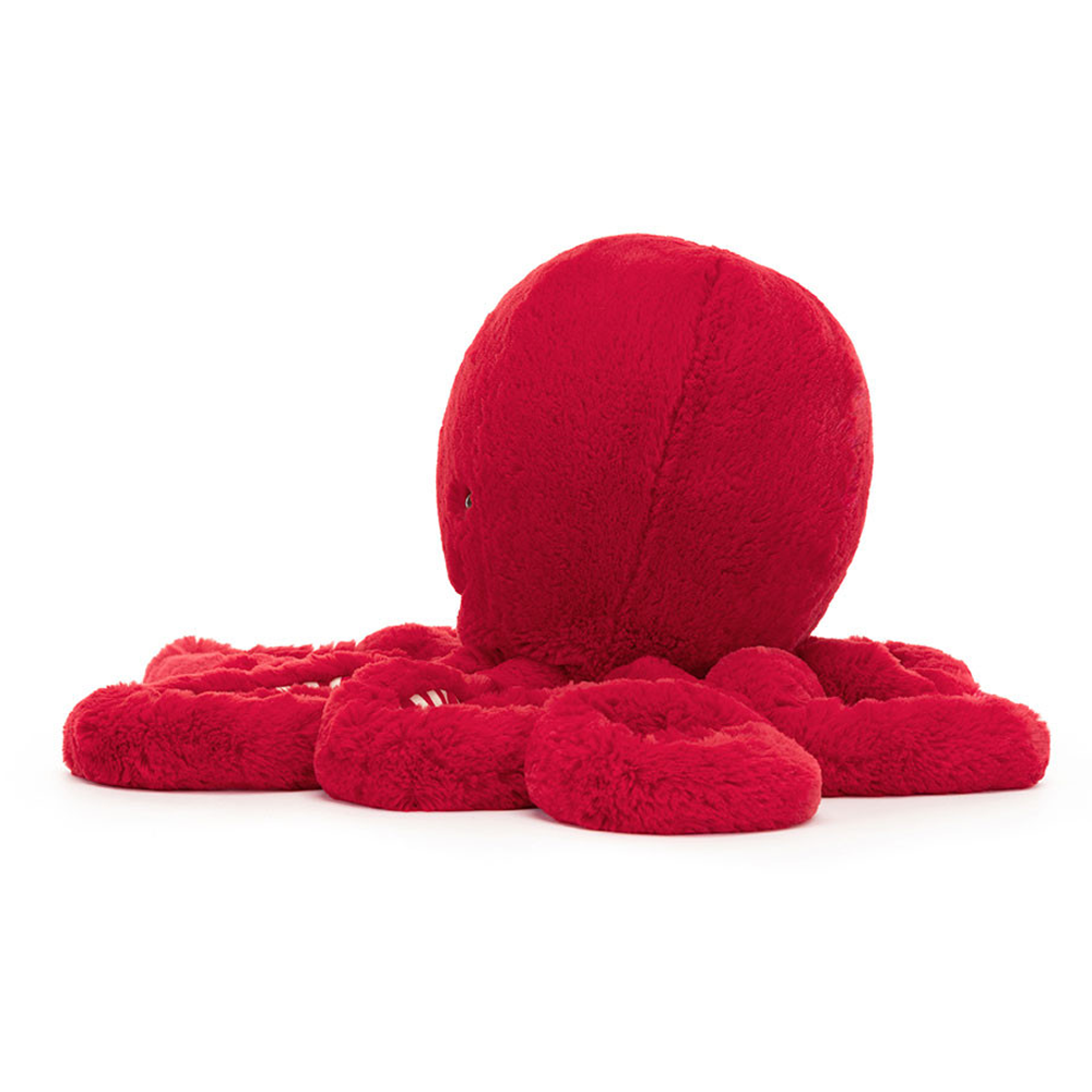 Cranberry Octopus