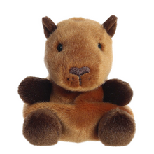 Sid Capybara