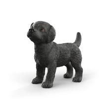 Black Labrador Retriever Puppy
