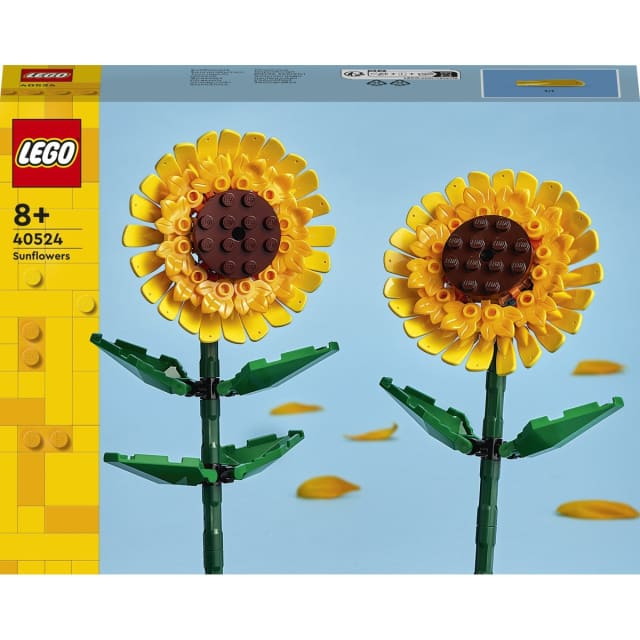Sunflowers 40524