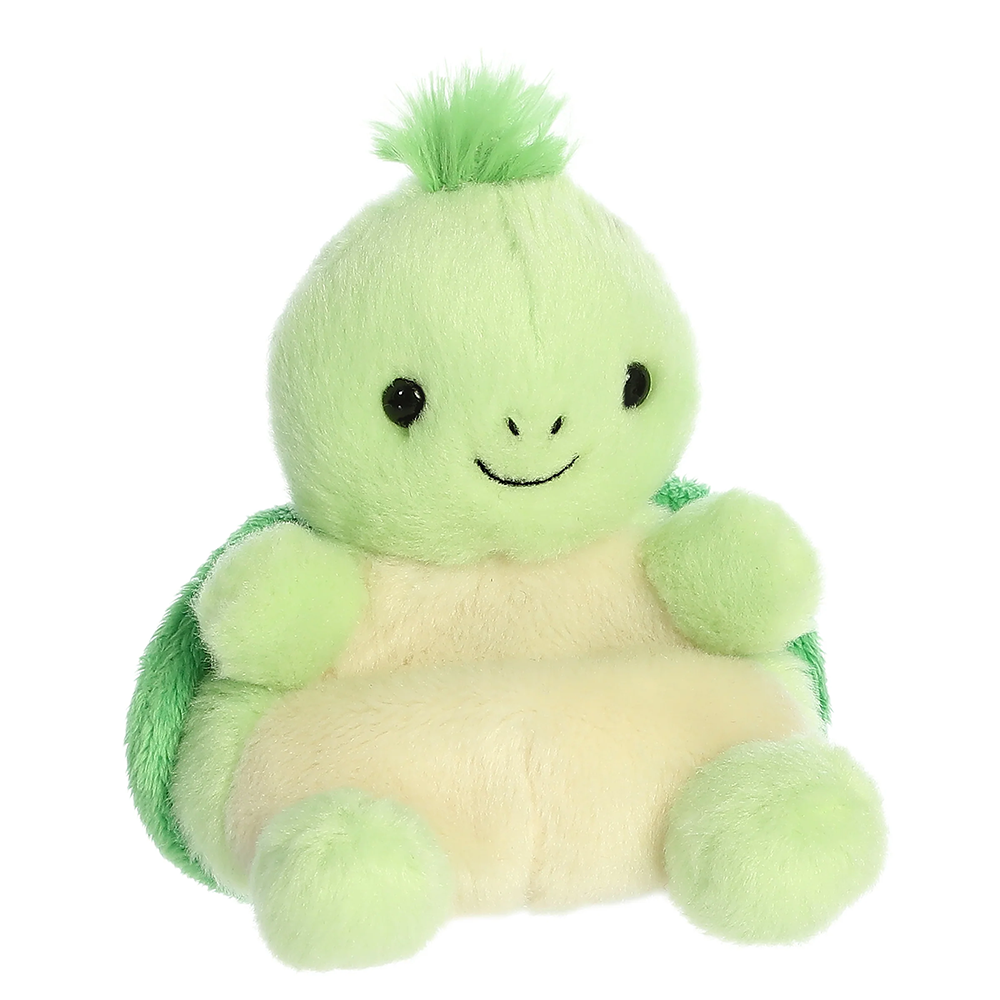 Tiny Turtle