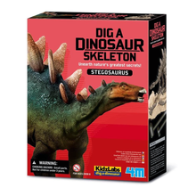 Dig A Dinosaur - Stegosaurus