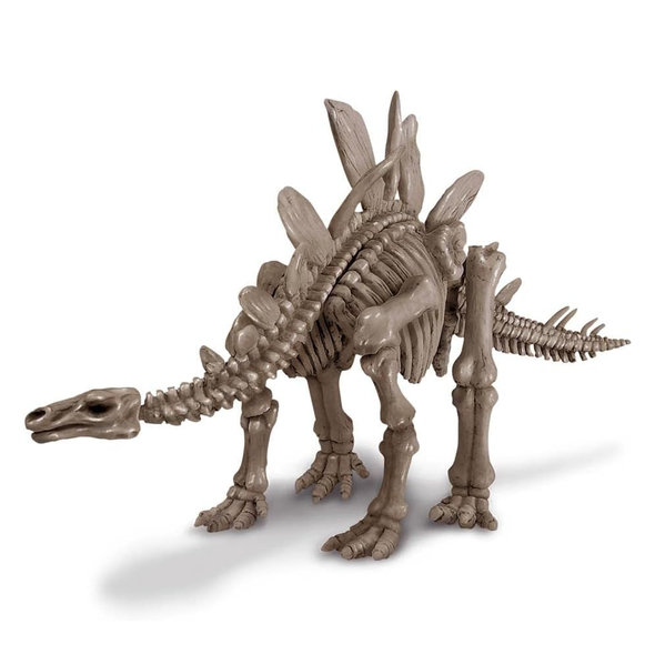 Dig A Dinosaur - Stegosaurus