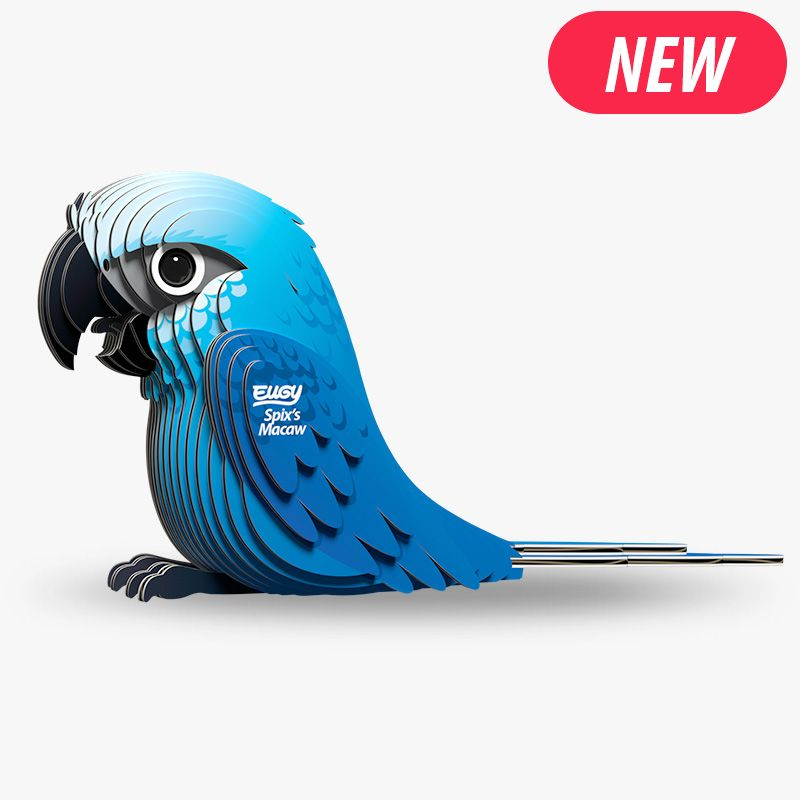 3D Cardboard Model Kit - Spix's Macaw