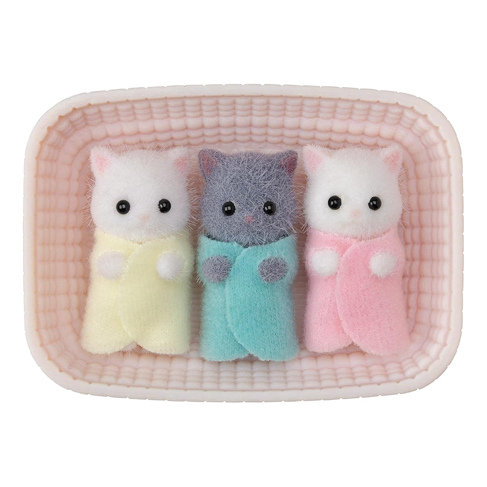 Persian Cat Triplets