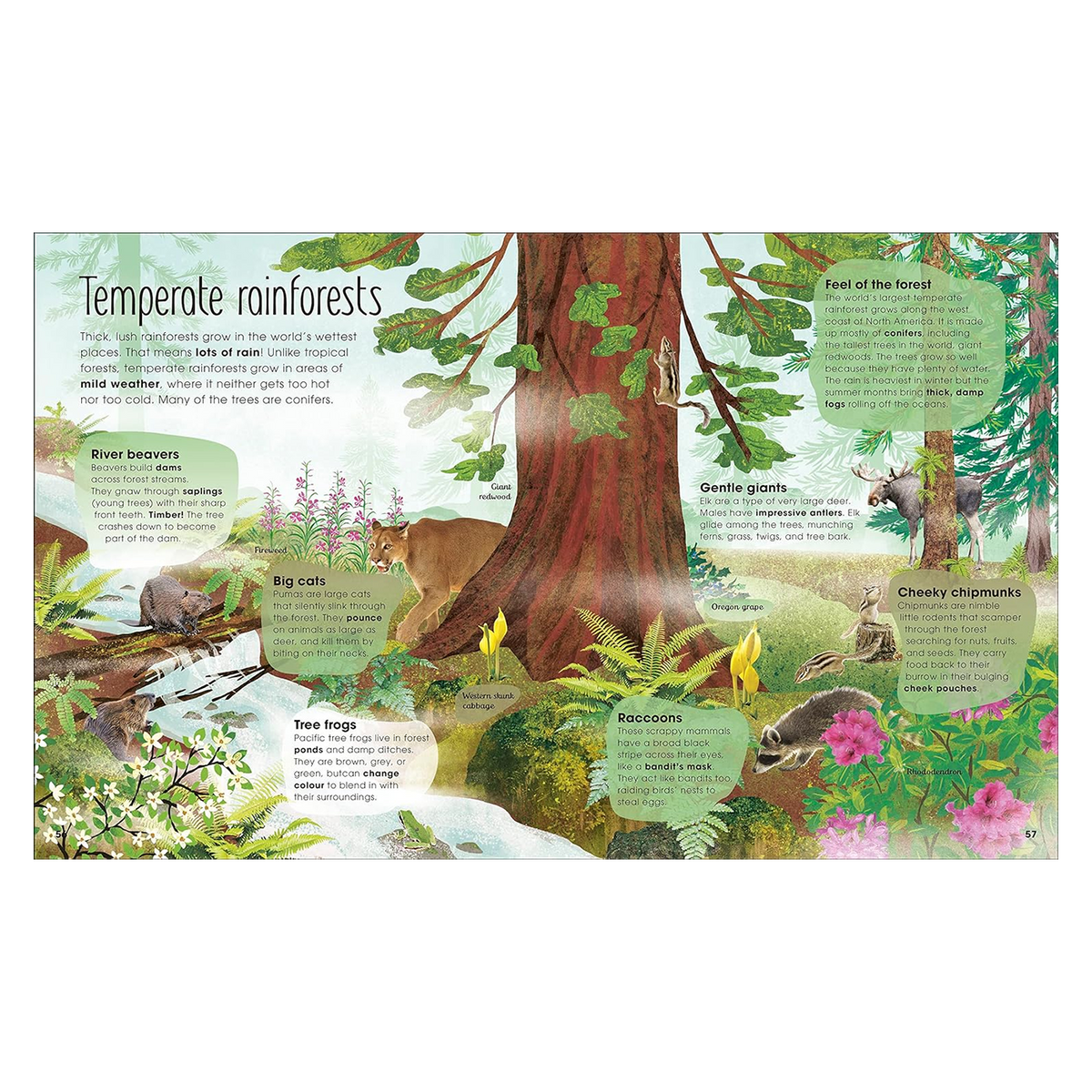 The Magic & Mystery of Trees