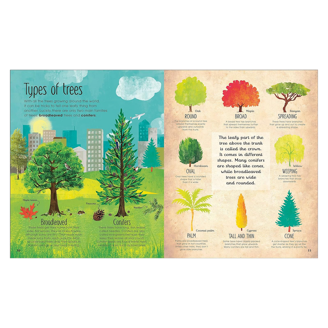 The Magic & Mystery of Trees