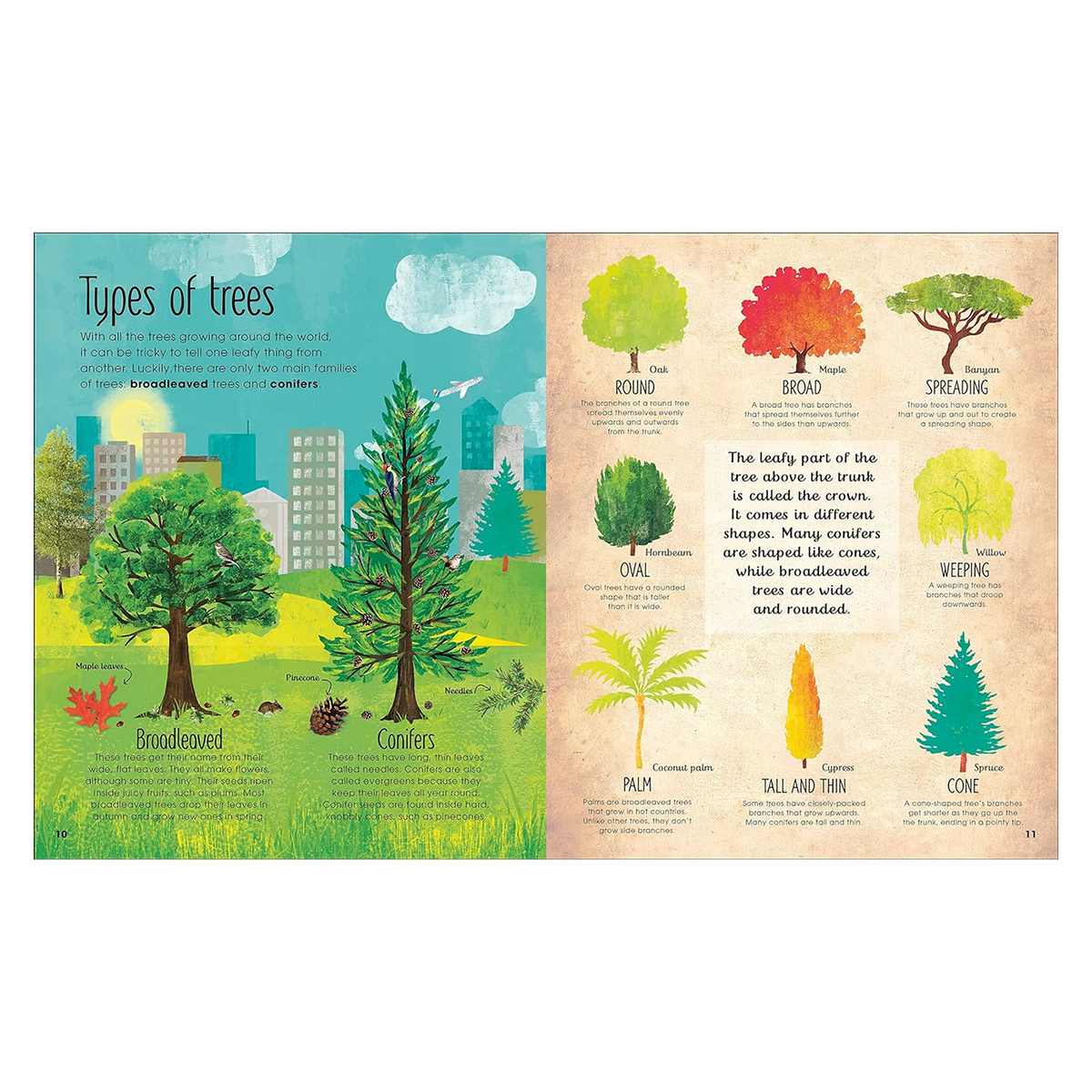 The Magic & Mystery of Trees