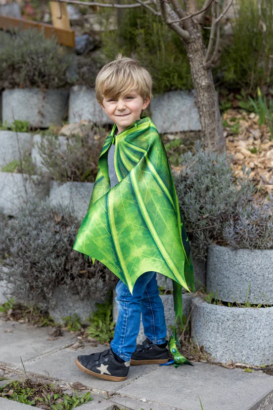 Legendary Dragon Soft Wings Size 4 - 6