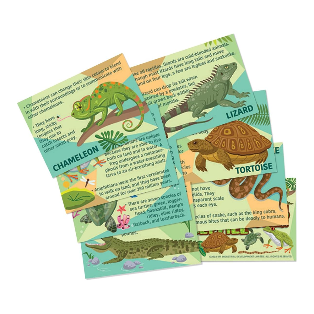 Mould & Paint - Reptiles and Amphibians