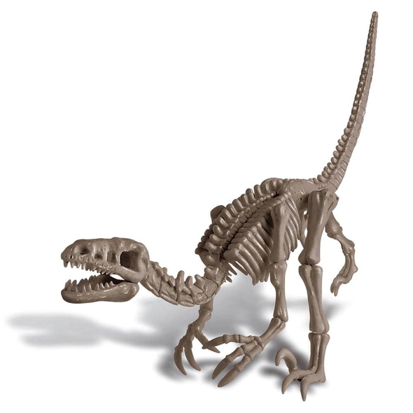 Dig A Dinosaur - Velociraptor