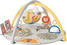 Savannah 360 Activity Gym