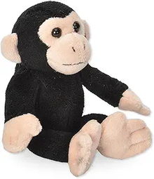 Pocketkins/Chimpanzee