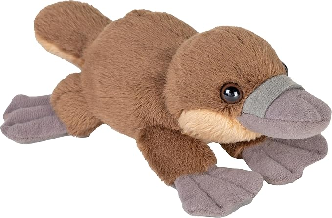 Pocketkins/Platypus