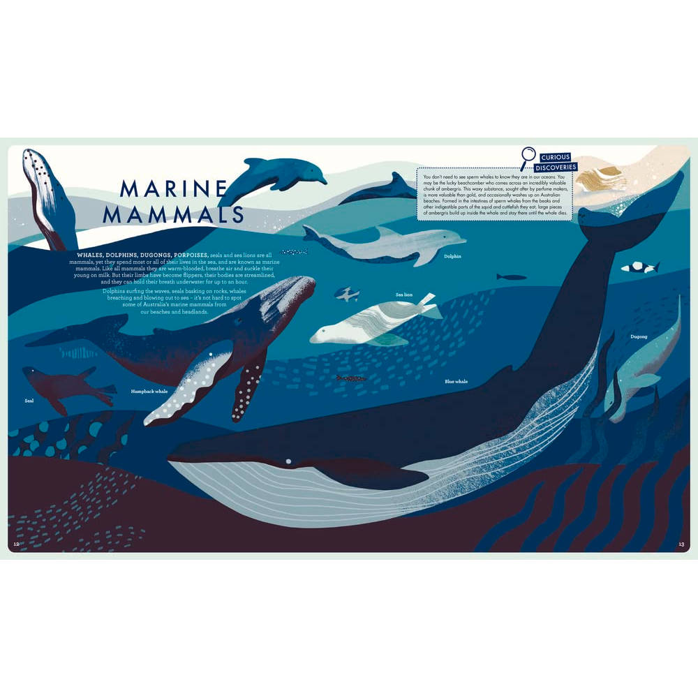 Wild Australian Life