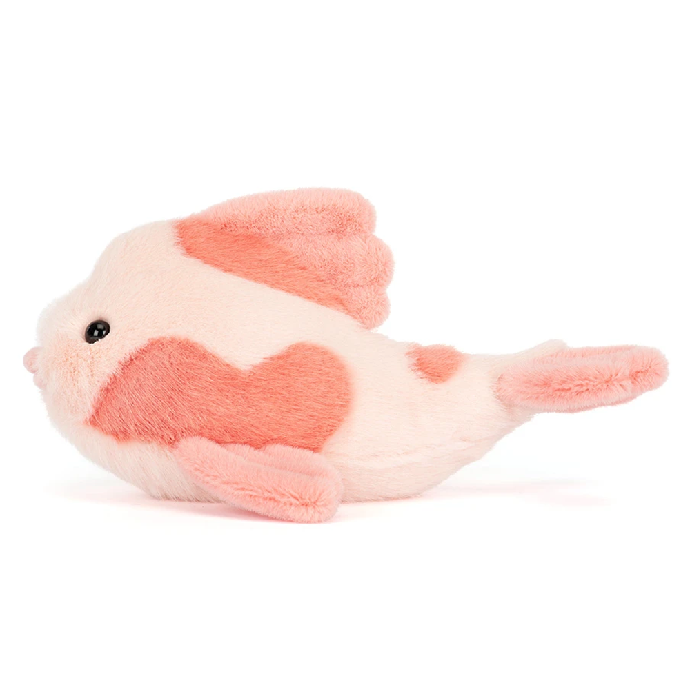 Fancy Carp