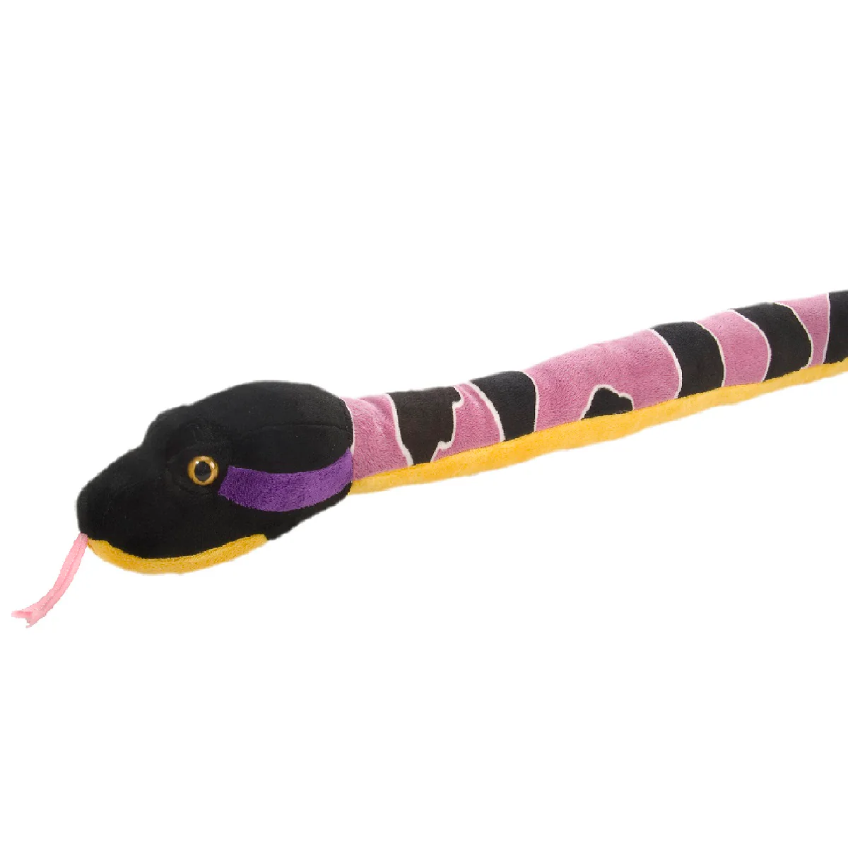 Timber Rattle Snake