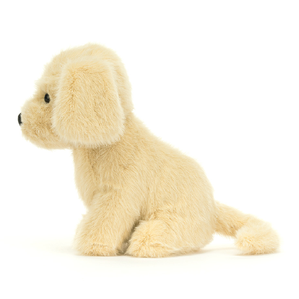 Golden Puppy