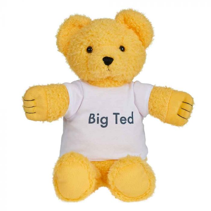 Big Ted Plush 30cm