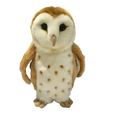Hootibella the Barn Owl - 20cm