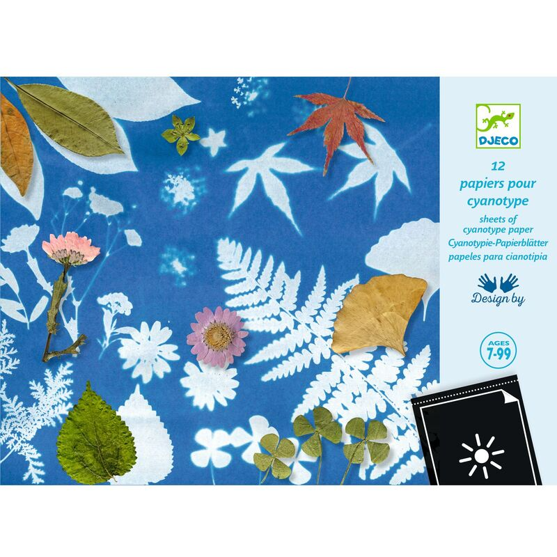 Cyanotype Paper