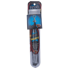 Ferro Magnetic