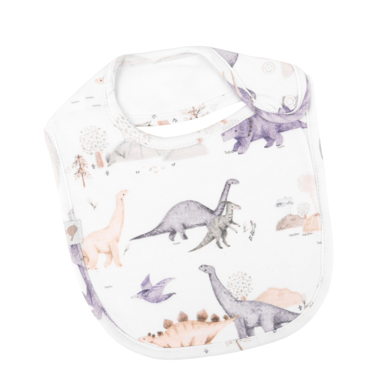 Organic Cotton Bib - Dinosaurs