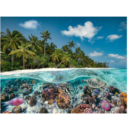 2000 pc Puzzle - A Dive in the Maldives