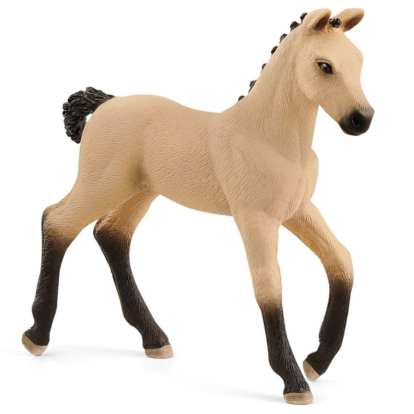 Hanoverian Foal - Red Dun
