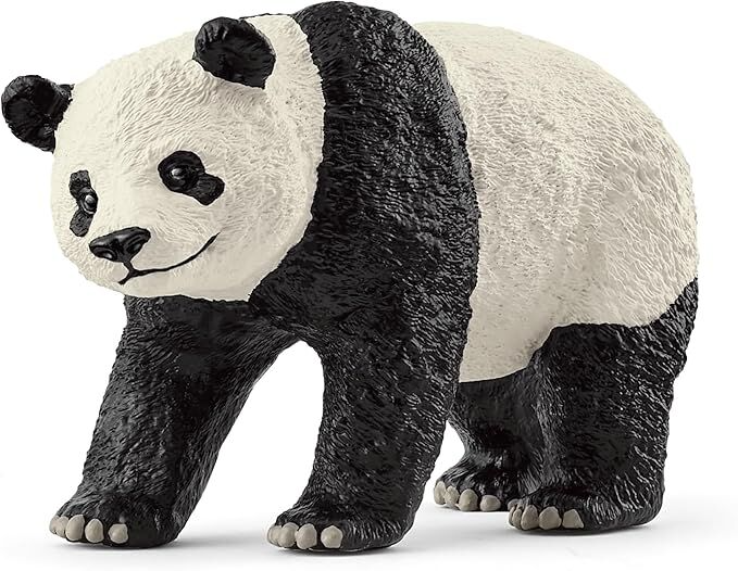 Giant Panda 2025