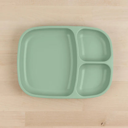 Large Divided Tray