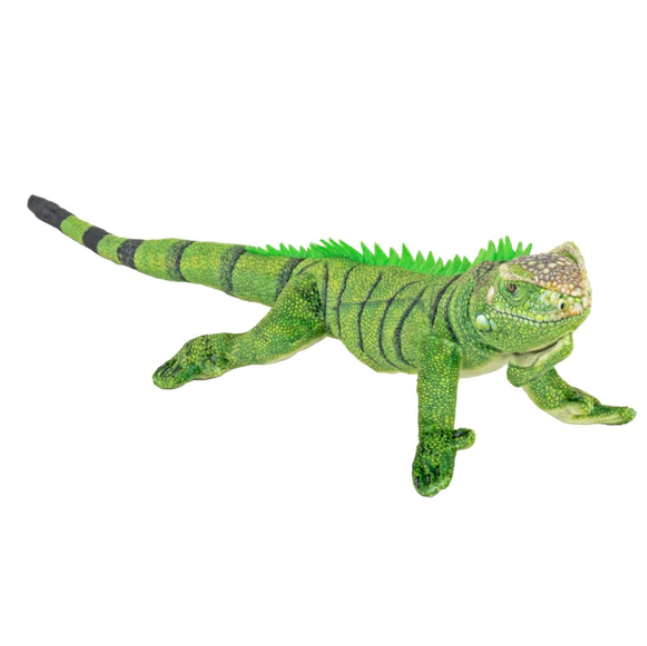 Coilkins Green Iguana