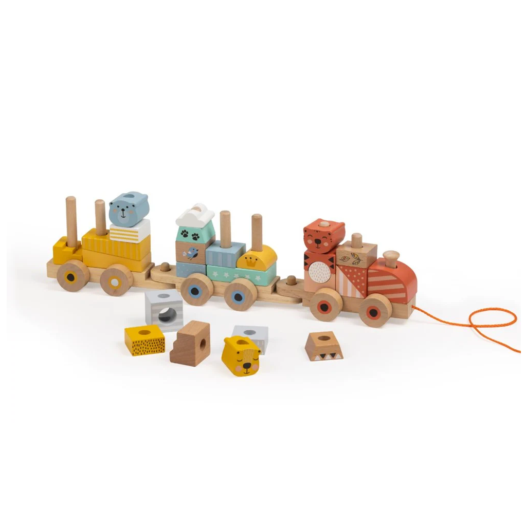 Pull Along Wooden Train Blocks