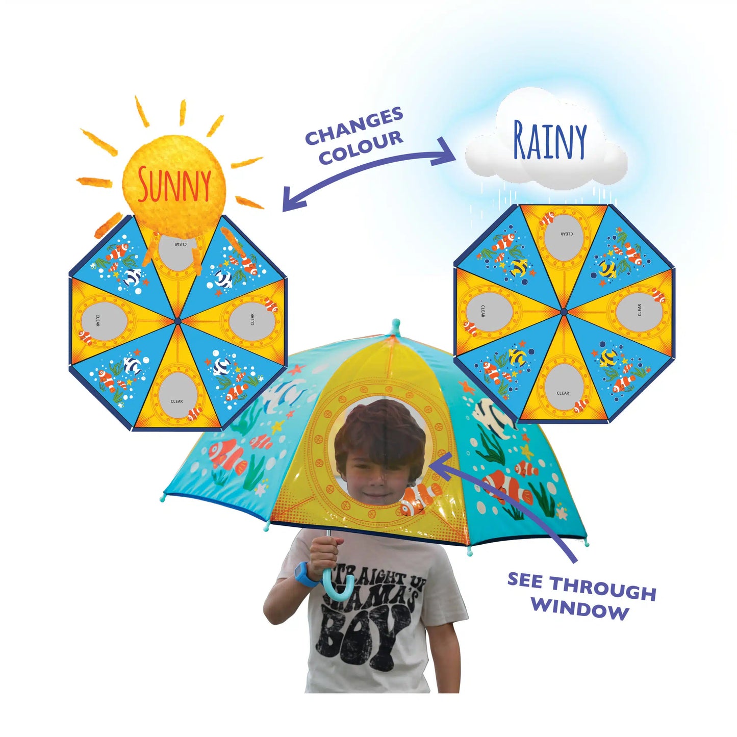 Colour Changing Umbrella with Clear Window