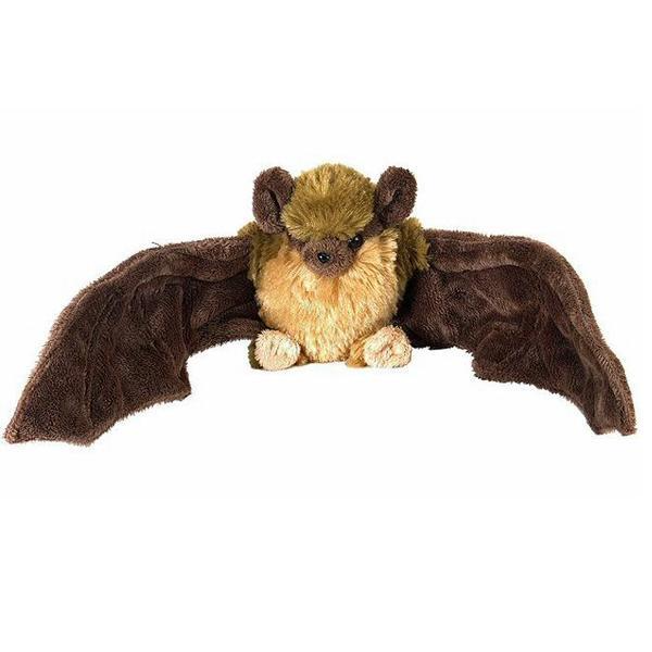 Brown Bat Little