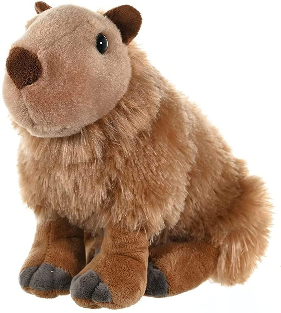 Capybara