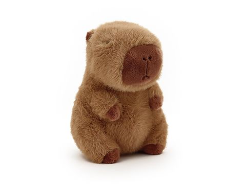 Capybara Plush - 23cm
