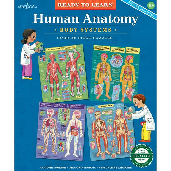 Ready to Learn - Human Anatomy