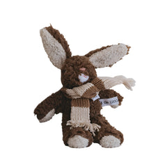 Frankie Rabbit