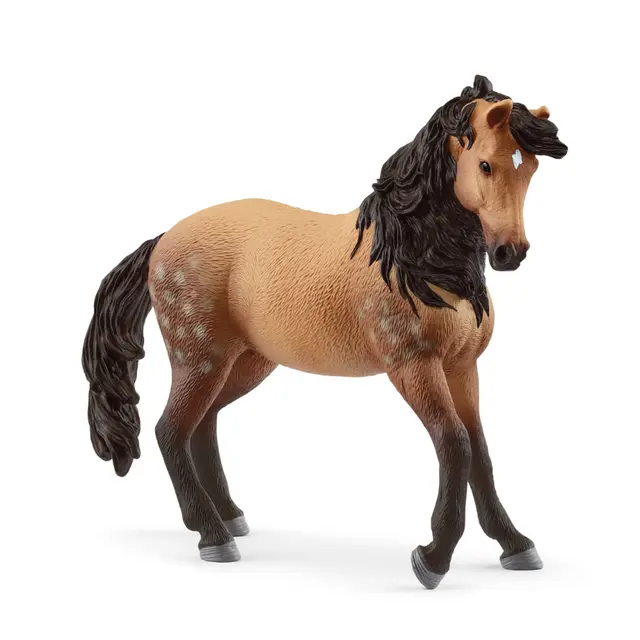 Andalusian Mare 2025