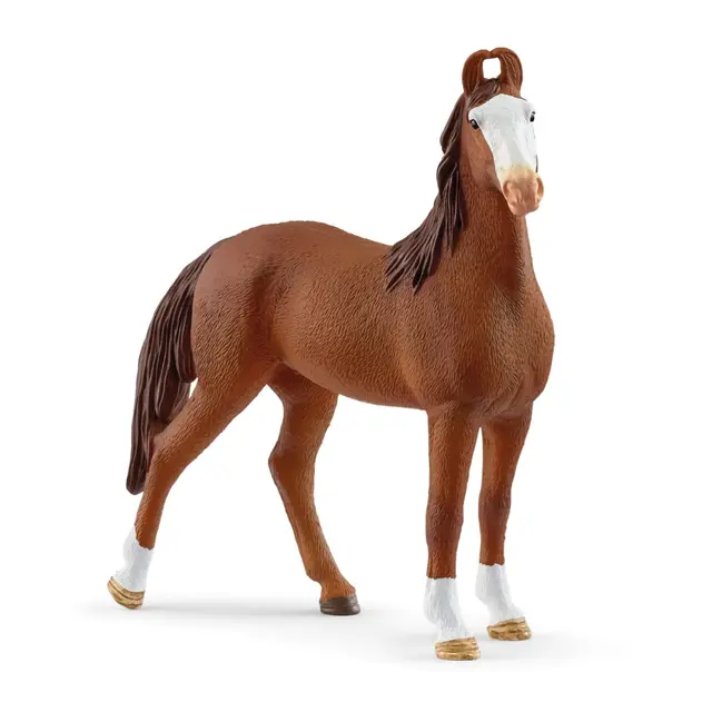 Mawari Mare