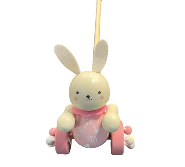 Push Along Bunny