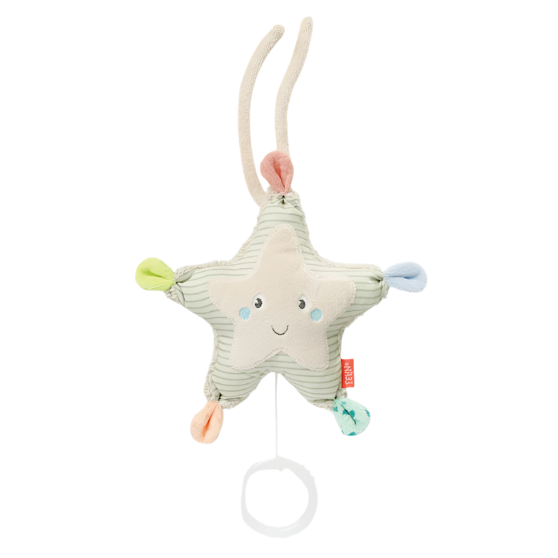 Mini Musical Starfish