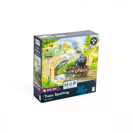 250 pc Puzzle - Train Spotting