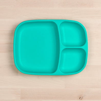 Large Divided Tray