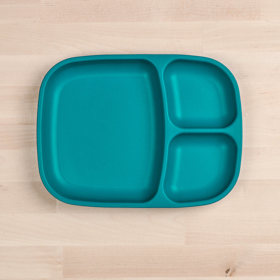 Large Divided Tray