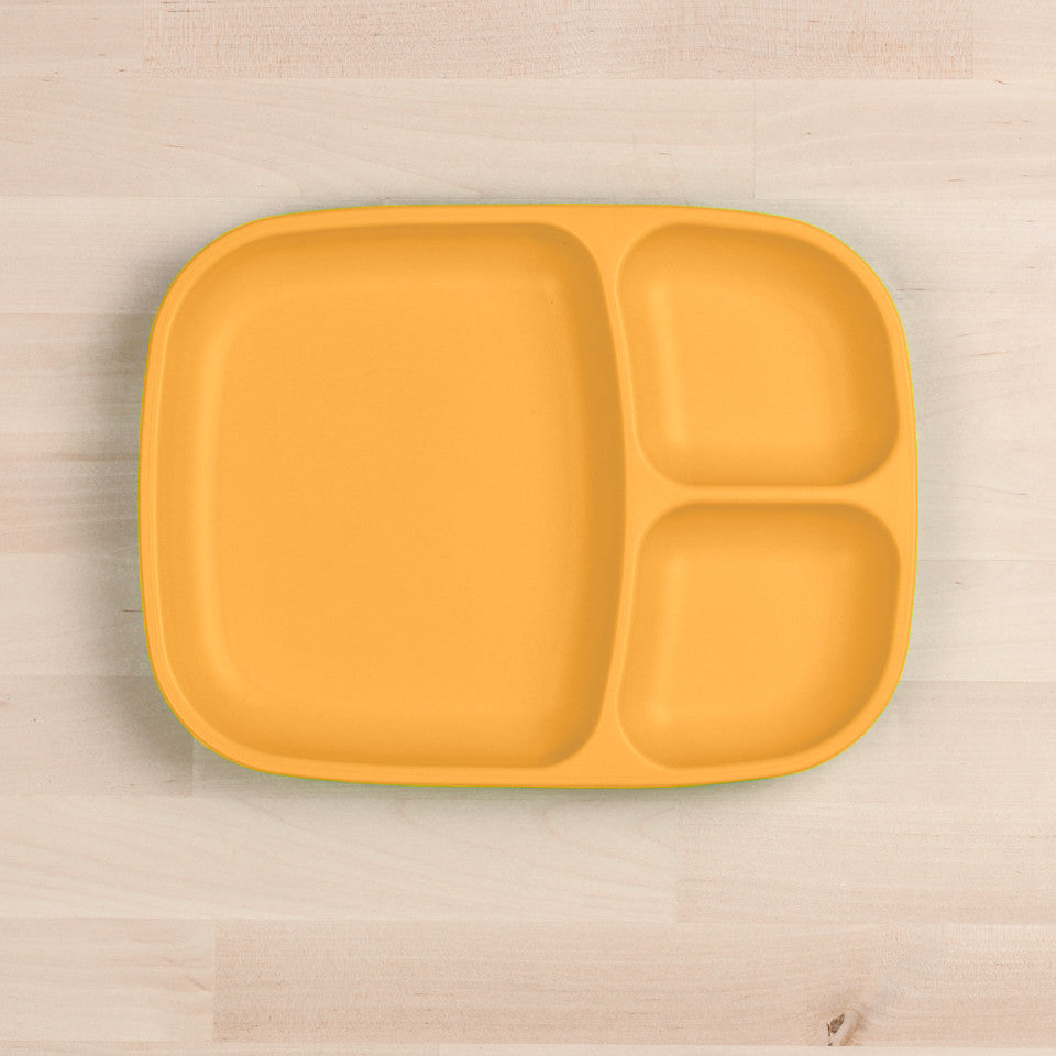 Large Divided Tray